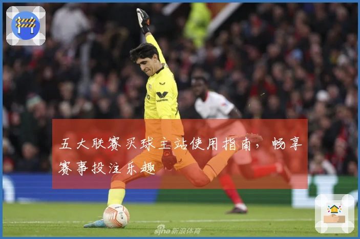 五大联赛买球主站使用指南，畅享赛事投注乐趣