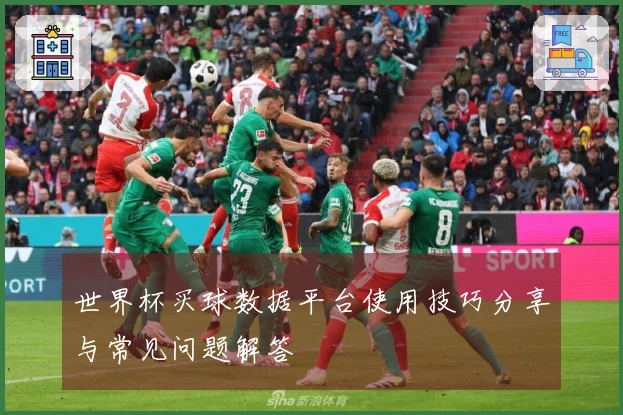 世界杯买球数据平台使用技巧分享与常见问题解答