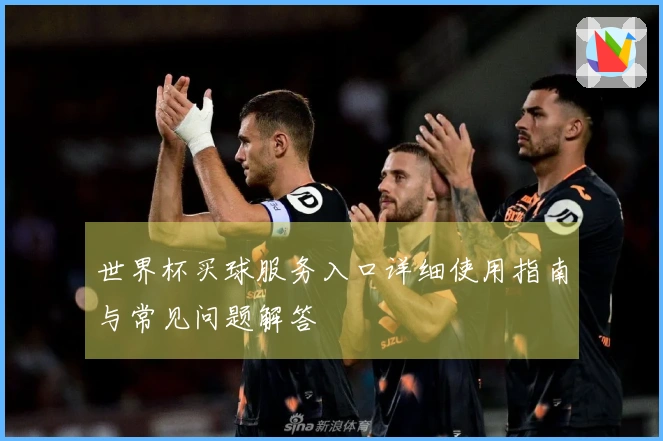 世界杯买球服务入口详细使用指南与常见问题解答