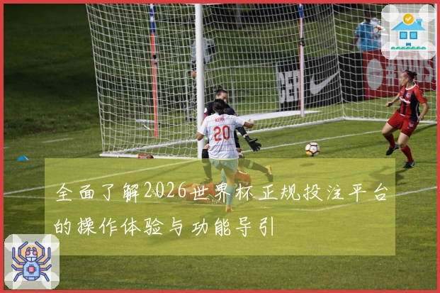全面了解2026世界杯正规投注平台的操作体验与功能导引