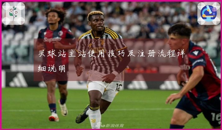 买球站主站使用技巧及注册流程详细说明