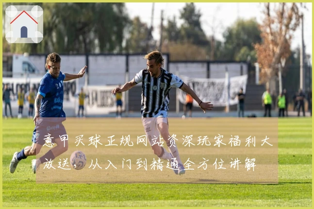 意甲买球正规网站资深玩家福利大放送，从入门到精通全方位讲解