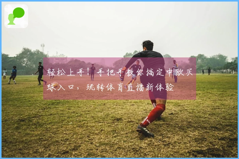 轻松上手!手把手教你搞定中欧买球入口,玩转体育直播新体验