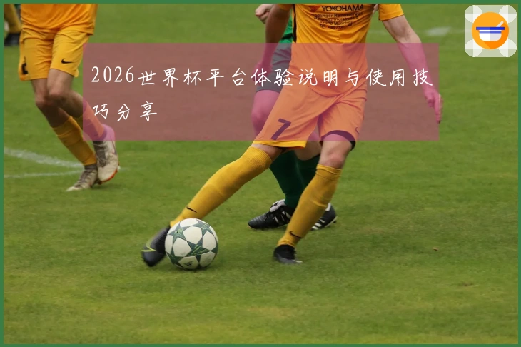 2026世界杯平台体验说明与使用技巧分享